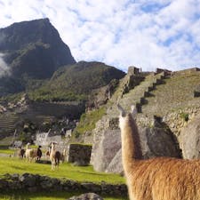 マチュピチュ