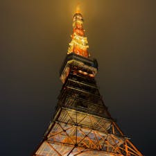 #東京タワー #🗼 #東京 #芝公園 #333 #ライトアップ
