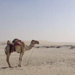 🇶🇦カタール