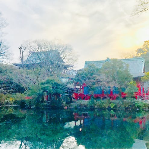 井の頭恩賜公園