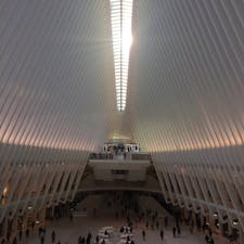 New York／Lower Manhattan
Oculus

15年の歳月をかけて作られた、翼のような建物が美しすぎる駅「オキュラス」。ワールドトレードセンターのハブ駅です。デザインはアテネオリンピックのスタジアムを手がけたスペイン出身の建築家、サンティアゴ・カラトラバ氏。1、2階にはファッションブランドも立ち並び、ショッピングスポットにもなっています。
#oculus  #newyork #newyorkcity #NewYorker#newyorknewyork #ニューヨーク旅行 #ilovenewyork
