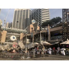 #sidny #Australia #🇦🇺

Darling harbor✨