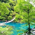 静岡🏞夢の吊り橋