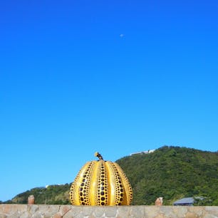 直島です！島が美術館みたいになってます。