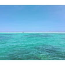 グレートバリアリーフのひとつミコマスケイ❤️ツアーのお姉さんに勧められて行ったけどめちゃくちゃ綺麗でした✨