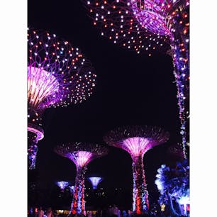 Singapore🇸🇬
Gardens by the Bay