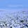 一生に一度は見たい日本の絶景としてメディアにも多数紹介されている国営ひたち海浜公園のネモフィラ。園内のみはらしの丘を可憐なネモフィラが青一色に染め上げる様は圧巻です💓例年の見頃はGW頃になります。