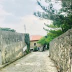 沖縄 真珠道
首里城近く。アカギの大木に続く道。