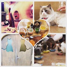 てまりのおうち