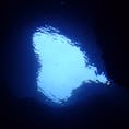 青の洞窟「グロット」
in サイパン