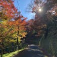 吉野山⛰紅葉の季節に撮ったもの