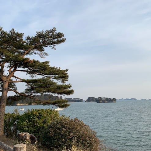 松島湾