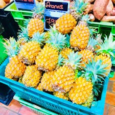 ニューカレドニア ヌバタ マルシェ