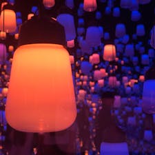 東京 お台場
チームラボ