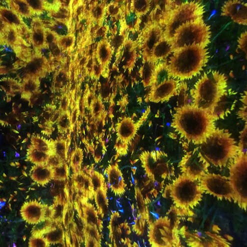 【閉業】森ビルデジタルアートミュージアム エプソンチームラボ ボーダレス