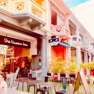 シンガポール🇸🇬本家ティラミスヒーロー 🐈