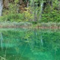 クロアチア プリトヴィッツェ国立公園 エメラルドグリーンの池
