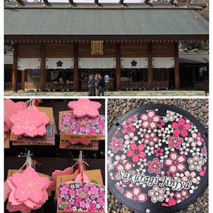 トリップノートの記事を読んで野田市の櫻木神社に行って来ました！
3月19日桜の日に行ったので御朱印の授与まで整理券を取ってから約1時間30分ほど待ちました。桜の花はまだでしたが境内をゆっくり見学、パワーを沢山頂いて来ました^ ^