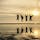 日本のウユニ塩湖

香川の父母ヶ浜。
干潮と日没の時間帯を狙って。

#香川#父母ヶ浜#干潮#日没