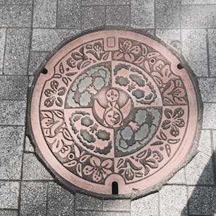 北大阪急行 桃山台 吹田市
太陽の塔 マンホール👀