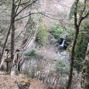 徳島 二重かずら橋