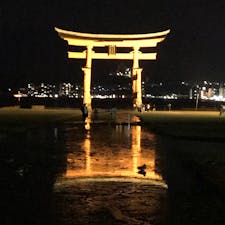 2019.3.12
厳島神社 大鳥居
干潮時ライトアップ