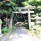 2017.6.9
淡島に上陸です😊
淡島神社は階段キツかったですね😂
スニーカー一択です笑
ちなみに私はサンダルで登りました..

途中には🐍も歩いていました🥰