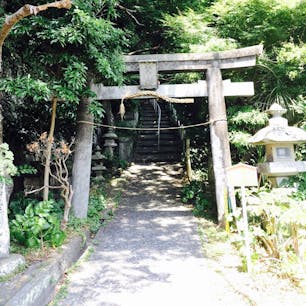 2017.6.9
淡島に上陸です😊
淡島神社は階段キツかったですね😂
スニーカー一択です笑
ちなみに私はサンダルで登りました..

途中には🐍も歩いていました🥰